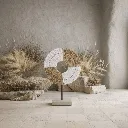 WhatsApp Image 2026-02-19 at 6.18.20 PM (9).webp