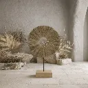 WhatsApp Image 2026-02-19 at 6.18.51 PM (4).webp