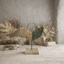 WhatsApp Image 2026-02-19 at 6.18.51 PM (11).webp