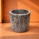Stone Bark.webp