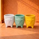 Trio Pop Planters.webp