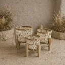 Woven Cane Accent Stools (Set of 3).webp