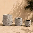 Fibreglass planters.webp