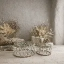 WhatsApp Image 2026-02-19 at 7.16.15 PM (4).webp