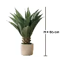 2_11zon.webp