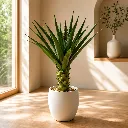 ChatGPT (72).webp