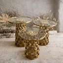 WhatsApp Image 2026-02-19 at 7.16.17 PM (3).webp