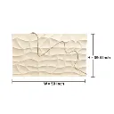 W= (28).webp