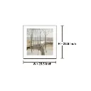 W= (36).webp