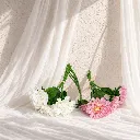 ChatGPT - 2026-08-20T164300.850.webp