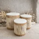 WhatsApp Image 2026-02-19 at 7.18.06 PM (40).webp