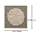 W= (40).webp