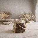 WhatsApp Image 2026-02-19 at 7.16.14 PM (7).webp