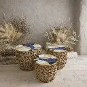 WhatsApp Image 2026-02-19 at 7.18.06 PM (51).webp