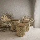 WhatsApp Image 2026-02-19 at 7.18.06 PM (60).webp