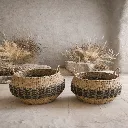 WhatsApp Image 2026-02-19 at 7.18.05 PM (3).webp