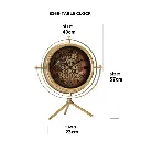 WhatsApp Image 2026-03-11 at 12.13.27 PM.webp