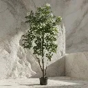 WhatsApp Image 2026-02-19 at 5.57.00 PM (12).webp