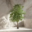 WhatsApp Image 2026-02-19 at 5.57.00 PM (8).webp