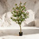 WhatsApp Image 2026-02-19 at 6.08.15 PM (49).webp