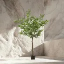 WhatsApp Image 2026-02-19 at 5.57.00 PM (6).webp