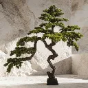 WhatsApp Image 2026-02-19 at 5.56.59 PM (7).webp