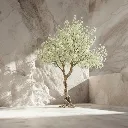 WhatsApp Image 2026-02-19 at 6.08.15 PM (54).webp