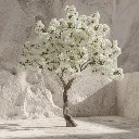 WhatsApp Image 2026-02-19 at 6.08.15 PM (48).webp