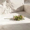 WhatsApp Image 2026-02-19 at 6.08.16 PM (9).webp