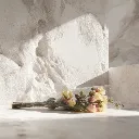 WhatsApp Image 2026-02-19 at 5.57.02 PM (15).webp