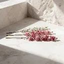 WhatsApp Image 2026-02-19 at 6.08.15 PM (23).webp