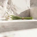 WhatsApp Image 2026-02-19 at 6.08.15 PM (25).jpeg