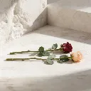 WhatsApp Image 2026-02-19 at 5.57.02 PM (19).webp