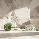 WhatsApp Image 2026-02-19 at 6.08.15 PM (7).webp