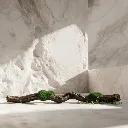 WhatsApp Image 2026-02-19 at 6.08.15 PM (19).webp