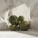 WhatsApp Image 2026-02-19 at 6.08.15 PM.webp