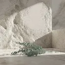 WhatsApp Image 2026-02-19 at 5.57.01 PM.webp