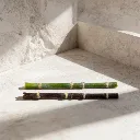 WhatsApp Image 2026-02-19 at 5.57.00 PM (5).webp