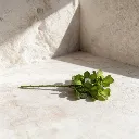 WhatsApp Image 2026-02-19 at 6.08.15 PM (27).webp