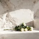 WhatsApp Image 2026-02-19 at 5.57.02 PM (9).webp