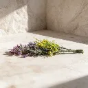 WhatsApp Image 2026-02-19 at 5.57.00 PM (9).webp