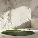 WhatsApp Image 2026-02-19 at 5.57.01 PM (2).webp