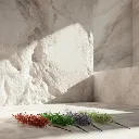 WhatsApp Image 2026-02-19 at 5.57.00 PM (4).webp