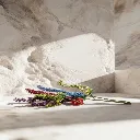 WhatsApp Image 2026-02-19 at 5.57.00 PM (1).webp