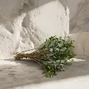 WhatsApp Image 2026-02-19 at 5.57.02 PM (12).webp