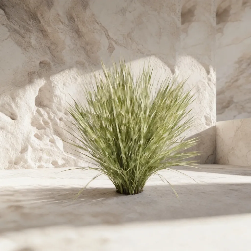 WhatsApp Image 2026-02-19 at 5.57.00 PM (3).webp