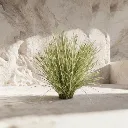 WhatsApp Image 2026-02-19 at 5.57.00 PM (3).webp