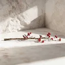 WhatsApp Image 2026-02-19 at 5.57.02 PM (5).webp