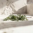 WhatsApp Image 2026-02-19 at 5.57.00 PM (13).webp