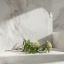 WhatsApp Image 2026-02-19 at 6.08.15 PM (4).webp